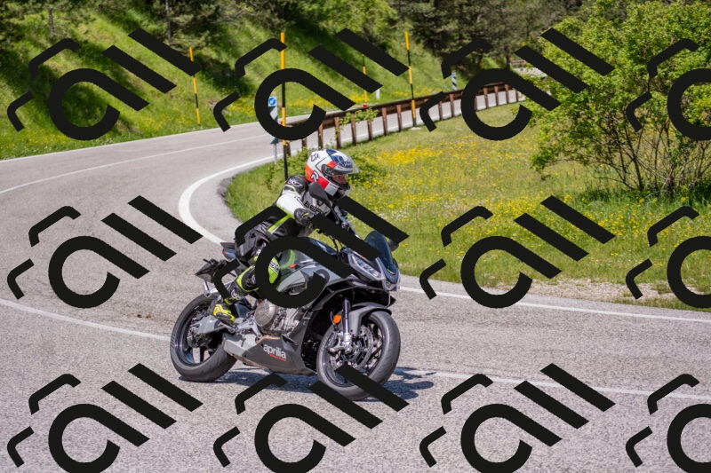 202506021156-DSC_8392_c4_