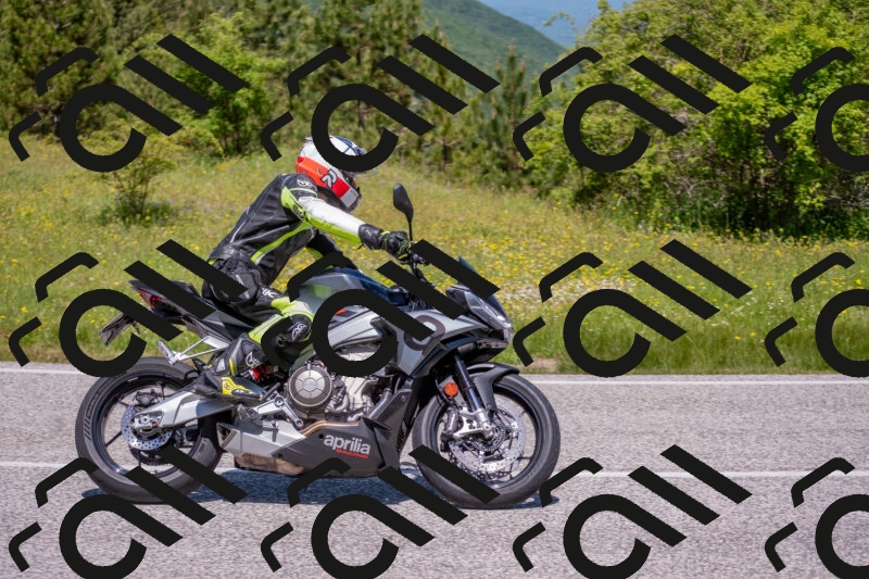 202506021157-DSC_8393_c4_