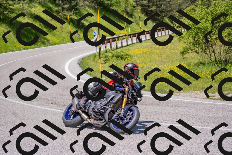 202506021157-DSC_8394_c4_