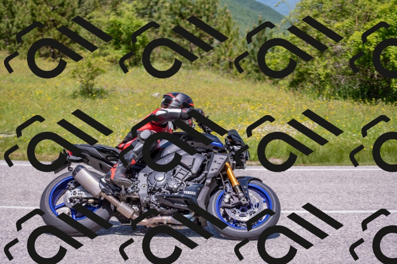 202506021157-DSC_8395_c4_