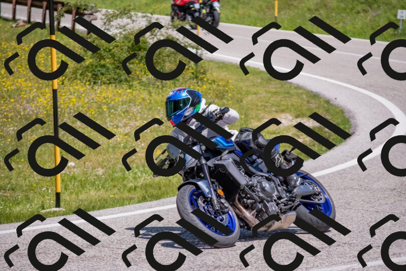 202506021157-DSC_8397_c4_