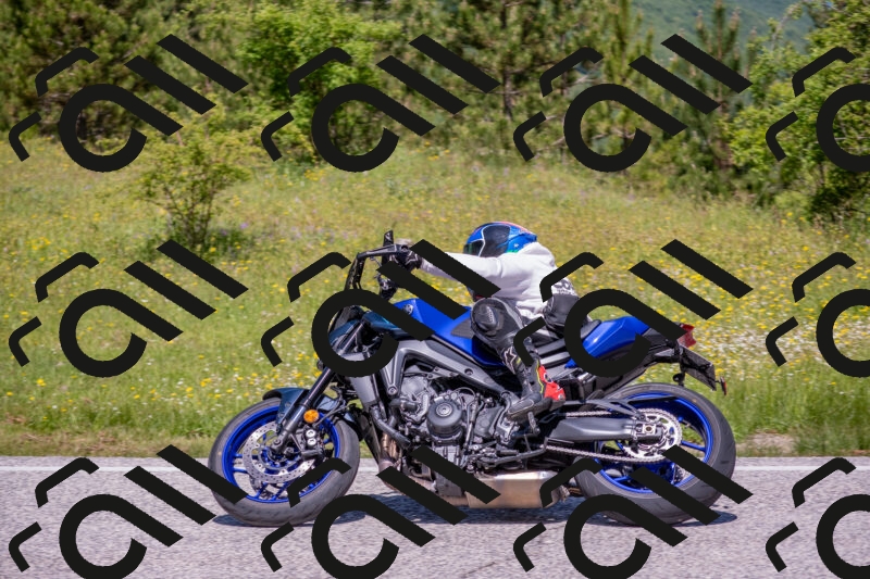 202506021157-DSC_8398_c4_