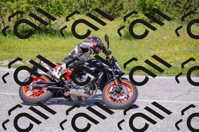 202506021157-DSC_8400_c4_