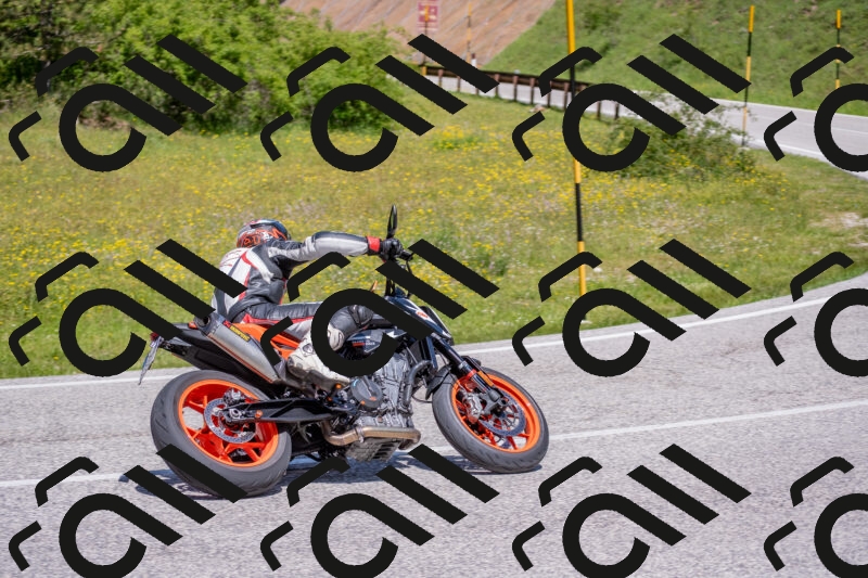 202506021157-DSC_8401_c4_