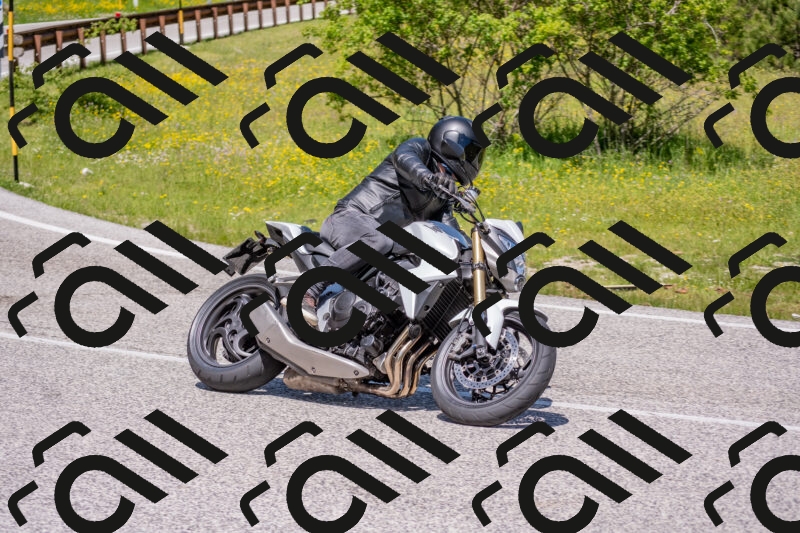 202506021157-DSC_8403_c4_