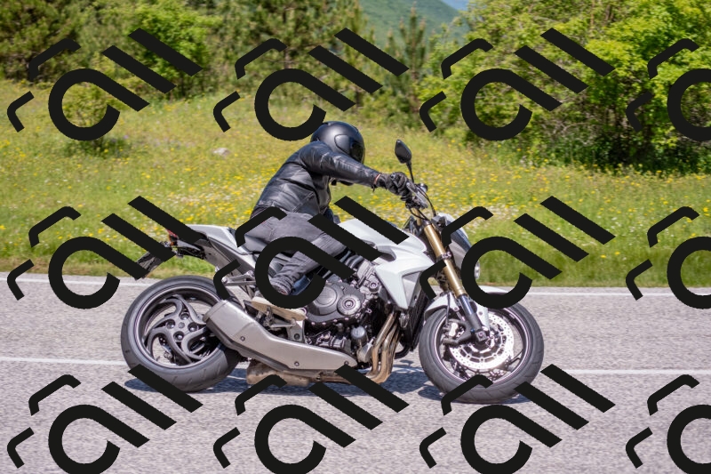 202506021157-DSC_8404_c4_