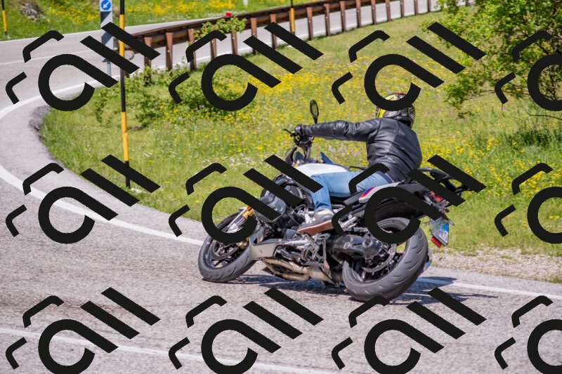 202506021157-DSC_8407_c4_