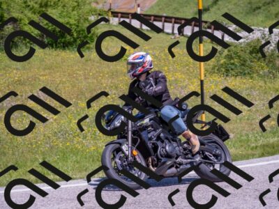 202506021157-DSC_8409_c4_