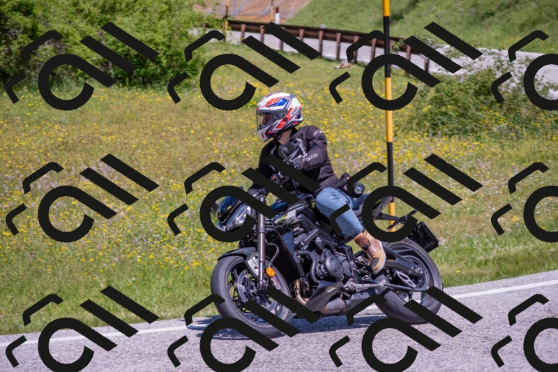 202506021157-DSC_8409_c4_