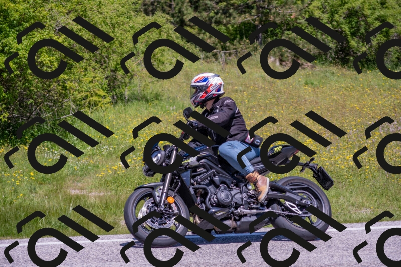 202506021157-DSC_8410_c4_