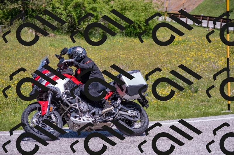 202506021157-DSC_8411_c4_