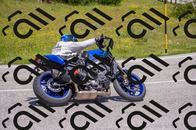 202506021157-DSC_8418_c4_