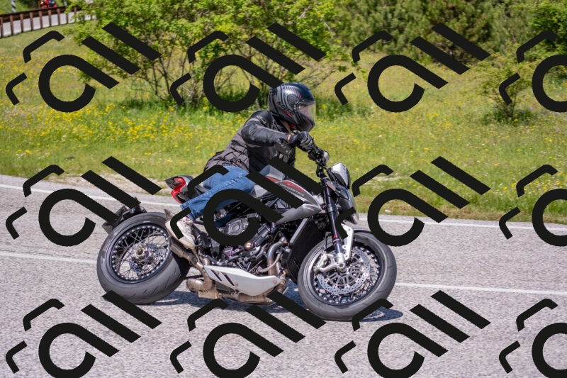 202506021158-DSC_8422_c4_