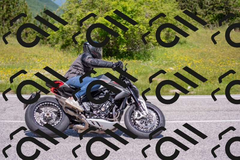 202506021158-DSC_8423_c4_