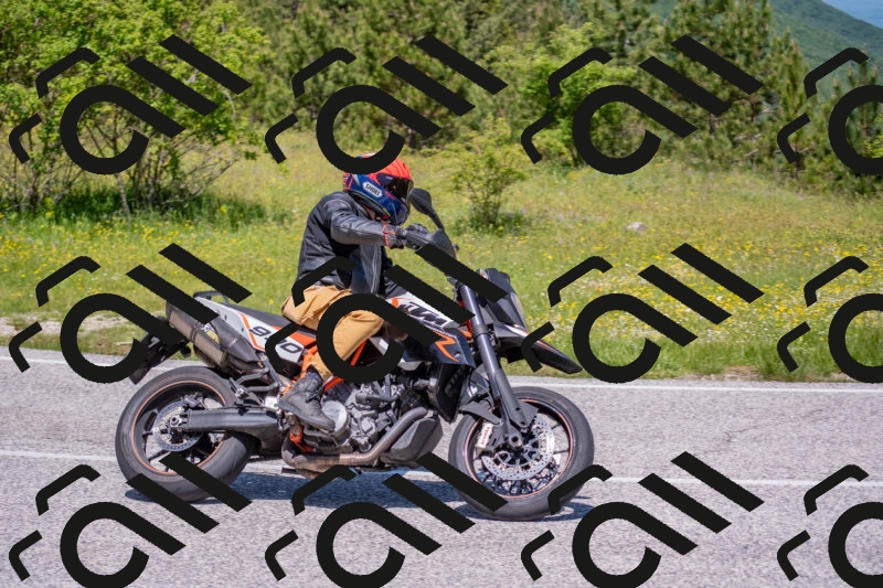 202506021158-DSC_8425_c4_