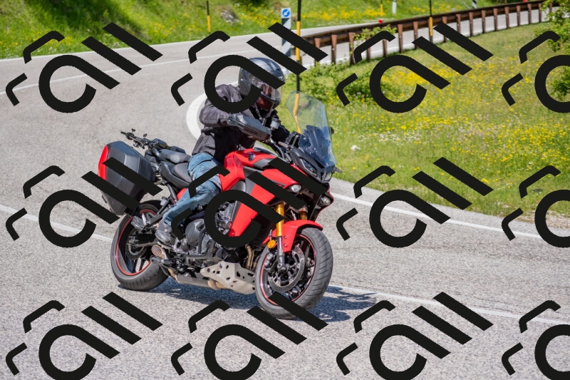 202506021158-DSC_8427_c4_