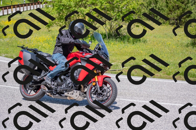 202506021158-DSC_8428_c4_