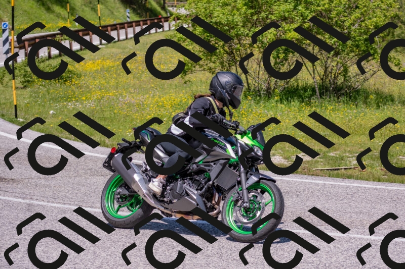 202506021158-DSC_8429_c4_