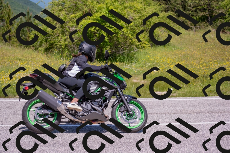 202506021158-DSC_8430_c4_