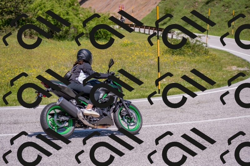 202506021158-DSC_8431_c4_