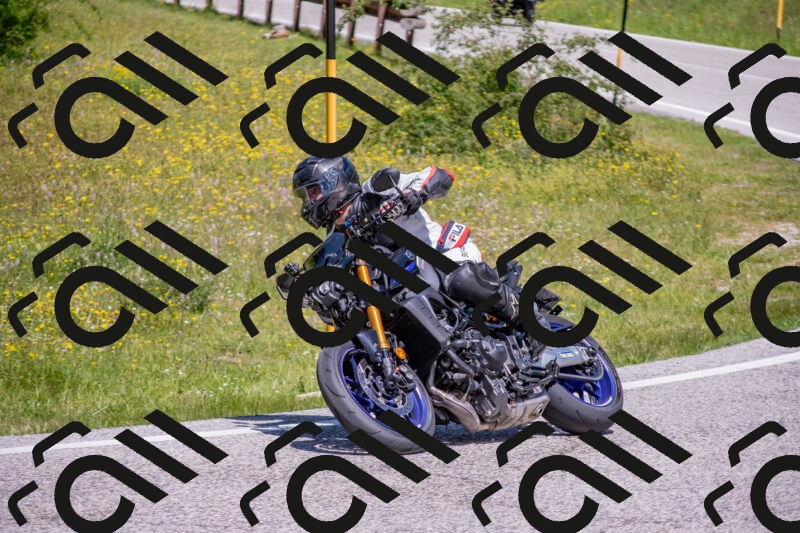 202506021158-DSC_8432_c4_