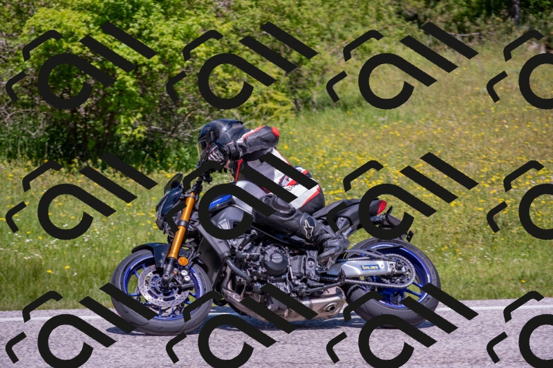 202506021158-DSC_8433_c4_