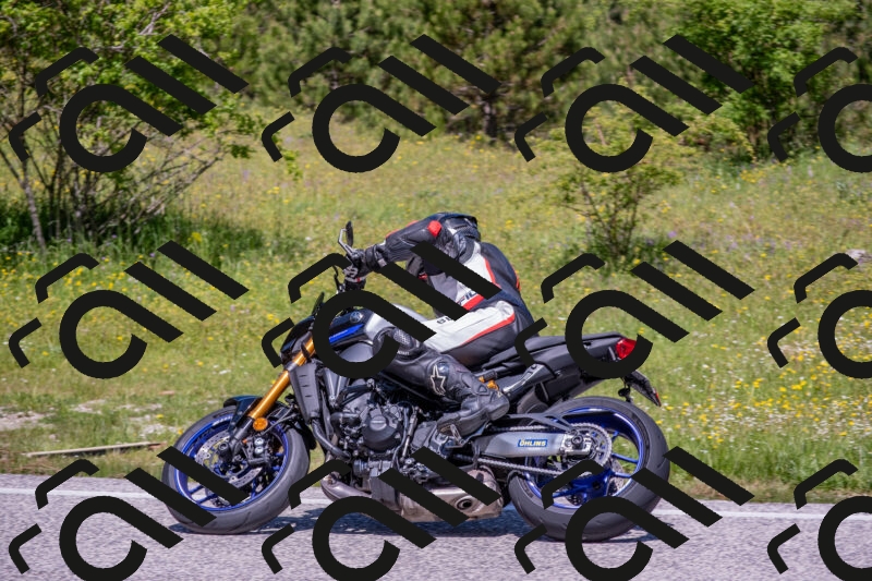 202506021158-DSC_8434_c4_