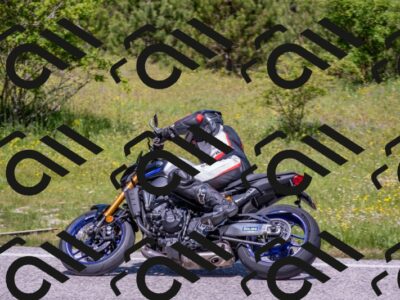 202506021158-DSC_8434_c4_