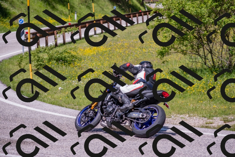 202506021158-DSC_8435_c4_