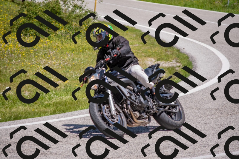 202506021158-DSC_8436_c4_