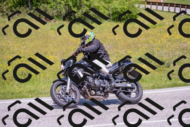 202506021158-DSC_8437_c4_