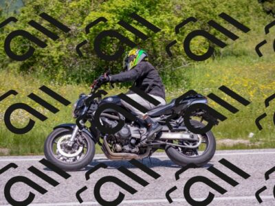 202506021158-DSC_8438_c4_