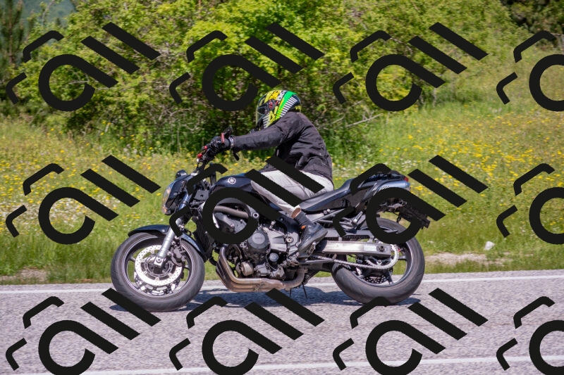 202506021158-DSC_8438_c4_