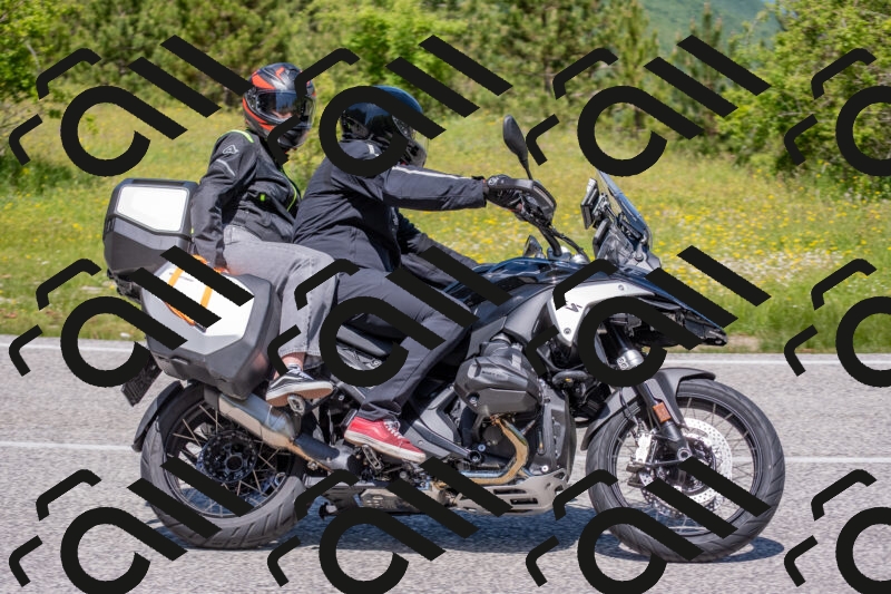 202506021158-DSC_8442_c4_