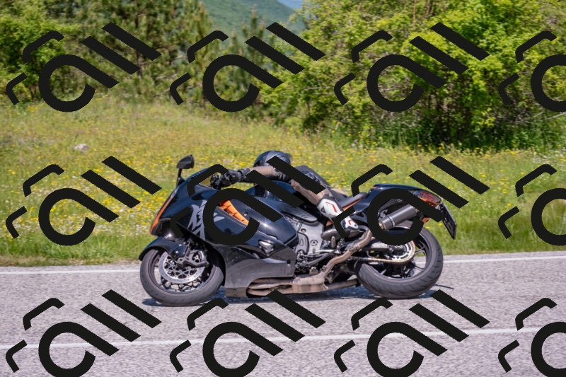 202506021158-DSC_8446_c4_