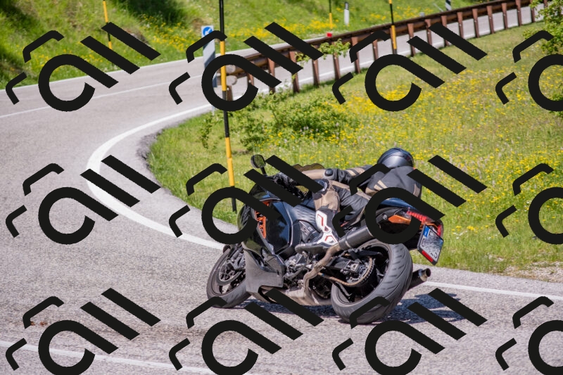 202506021158-DSC_8447_c4_