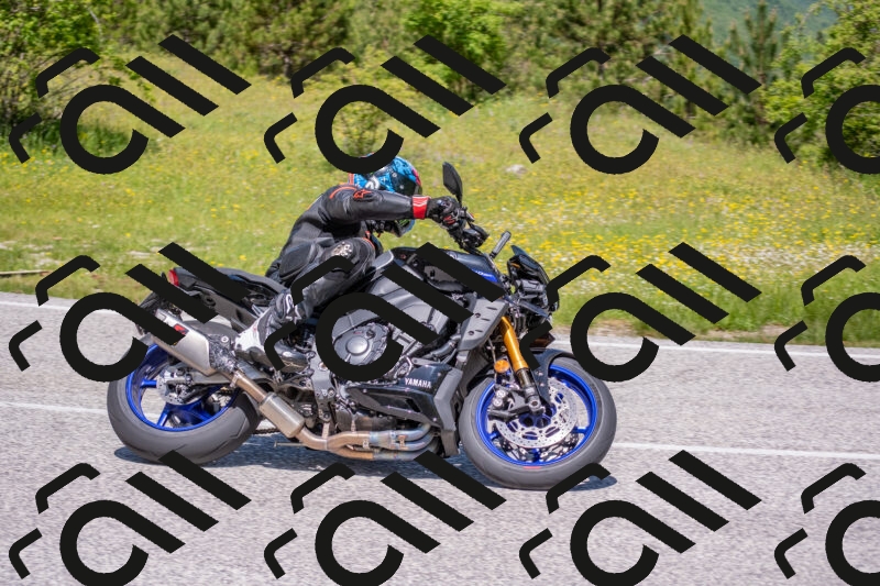 202506021159-DSC_8449_c4_