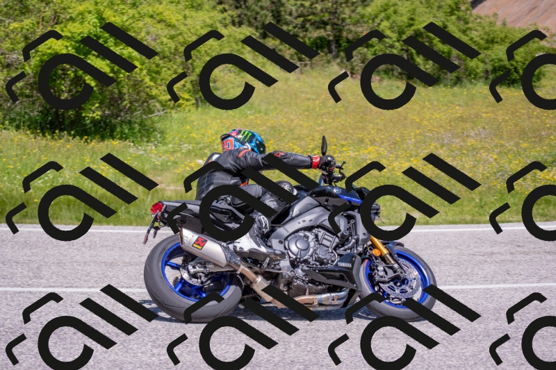 202506021159-DSC_8450_c4_