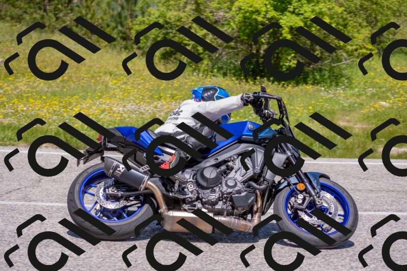 202506021159-DSC_8456_c4_