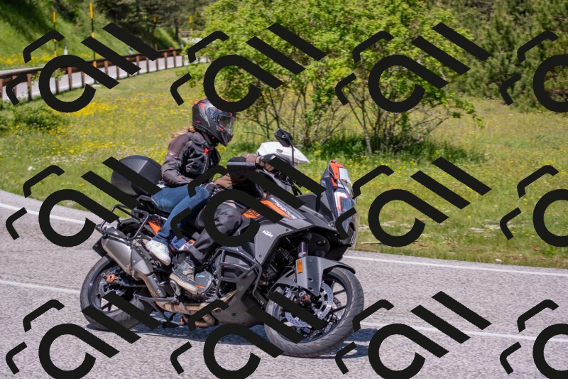 202506021159-DSC_8459_c4_