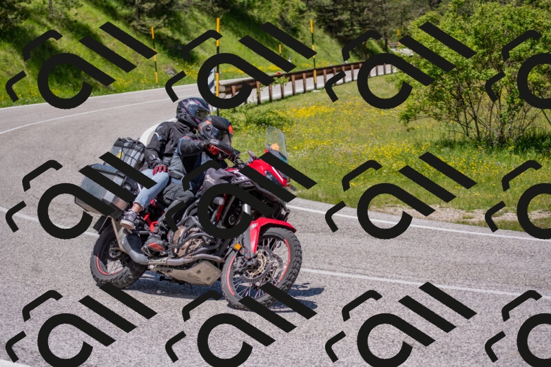 202506021159-DSC_8460_c4_