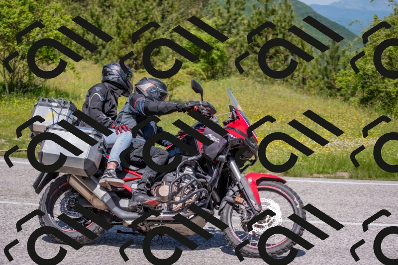 202506021159-DSC_8461_c4_