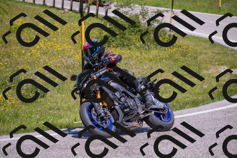 202506021159-DSC_8462_c4_