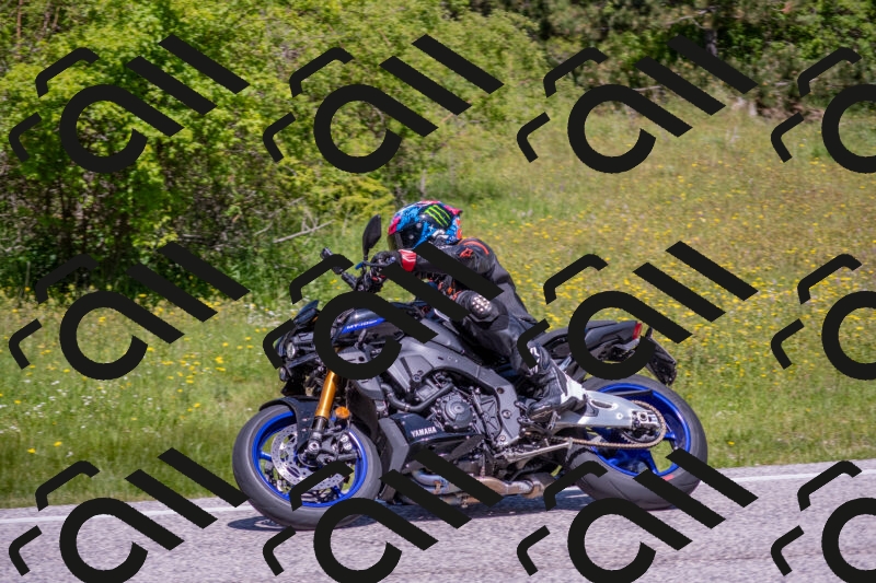 202506021159-DSC_8463_c4_