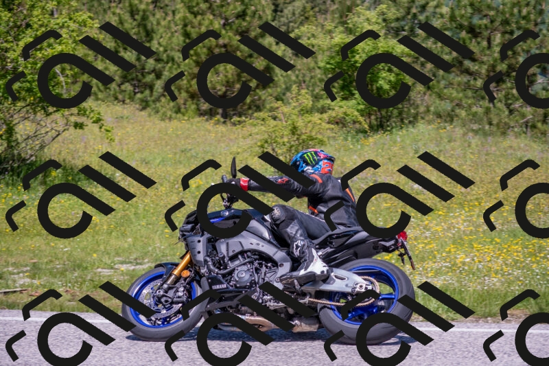 202506021159-DSC_8464_c4_