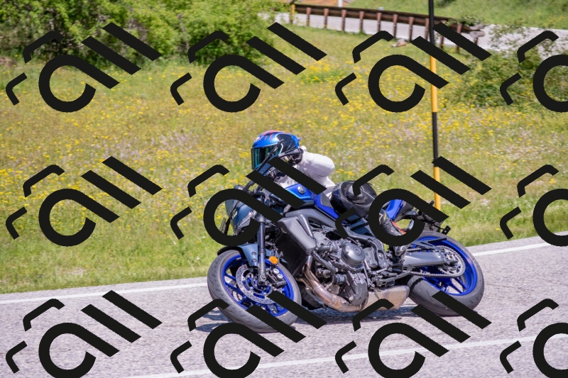 202506021159-DSC_8466_c4_