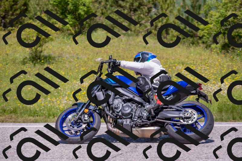 202506021159-DSC_8467_c4_