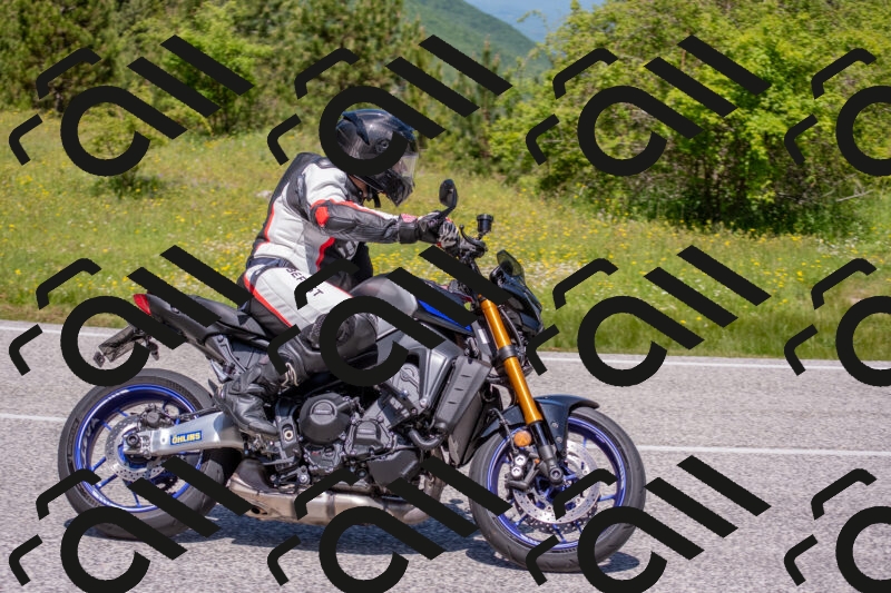 202506021159-DSC_8468_c4_