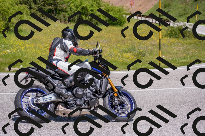 202506021159-DSC_8469_c4_