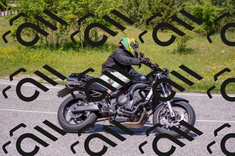 202506021200-DSC_8471_c4_